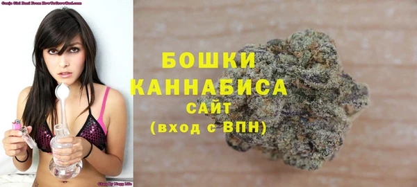 2c-b Каменка
