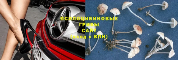наркотики Карпинск
