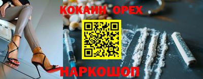 сатива Коммунар