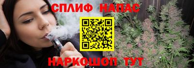 сатива Коммунар