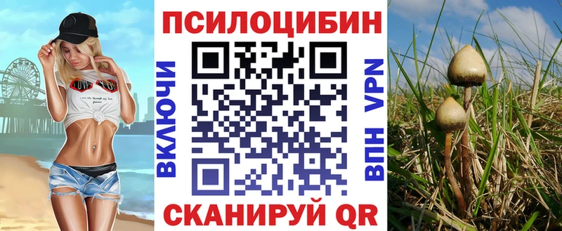 Галлюциногенные грибы GOLDEN TEACHER  Кохма 