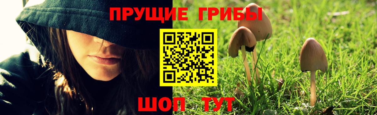 купить   Вход с VPN  Галлюциногенные грибы MAGIC MUSHROOMS  Кохма  Псилоцибиновые грибы мухоморы 