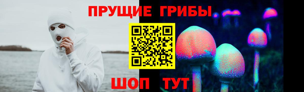 Псилоцибиновые грибы мухоморы Кохма